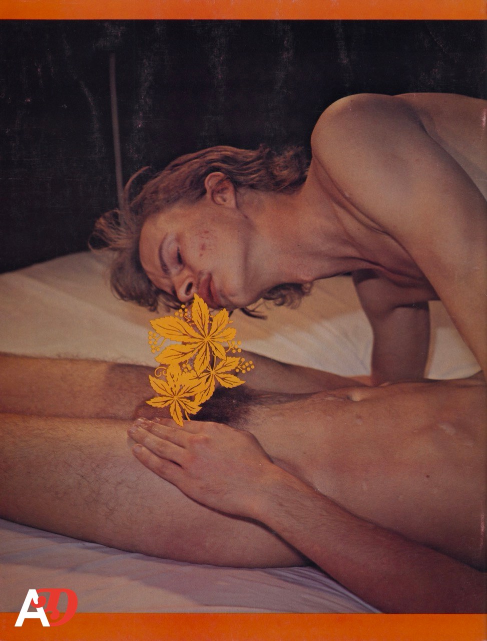 A NIGHT AT THE BATHS (SHOW HARD NO. 6) - Image 2