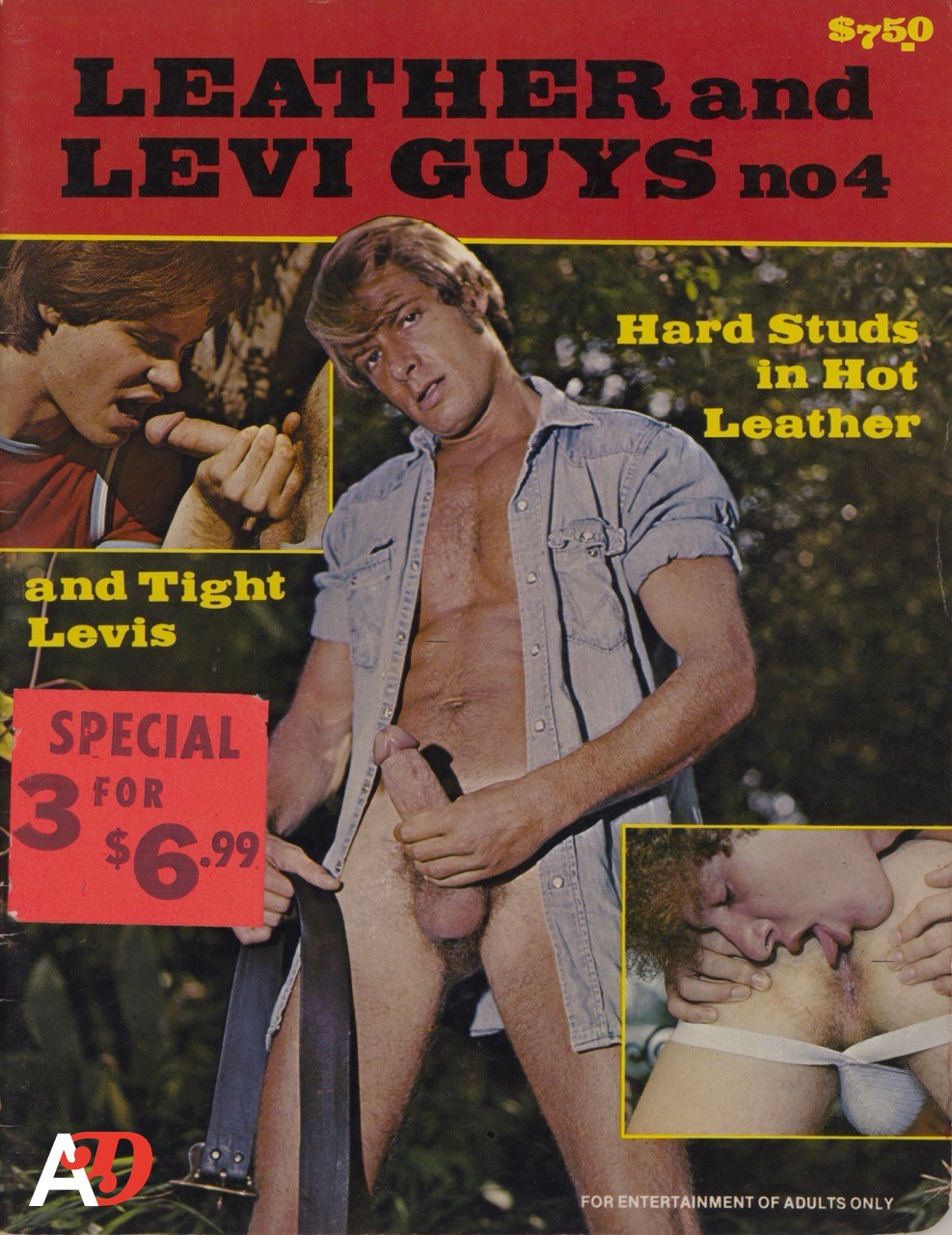 LEATHER AND LEVI GUYS (NO. 4)
