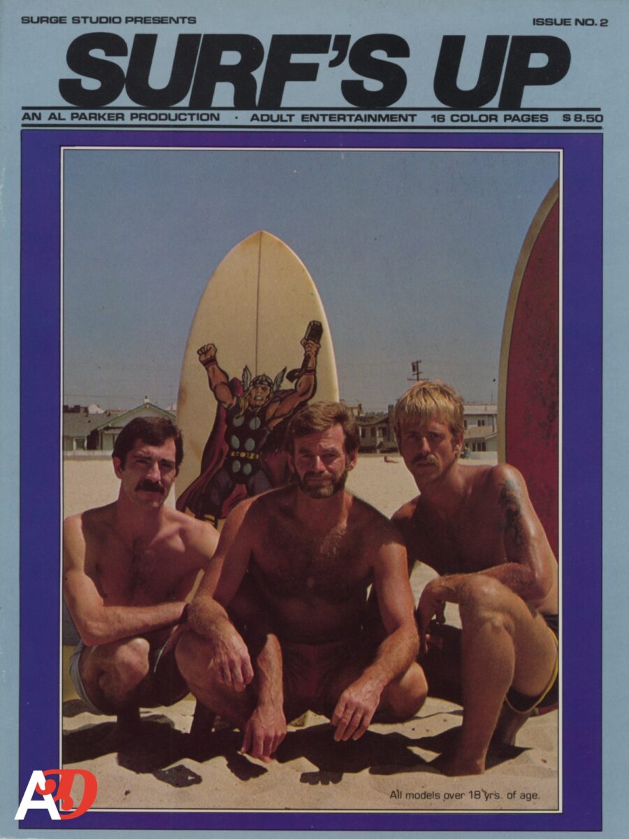 SURF'S UP (ISSUE NO. 2)