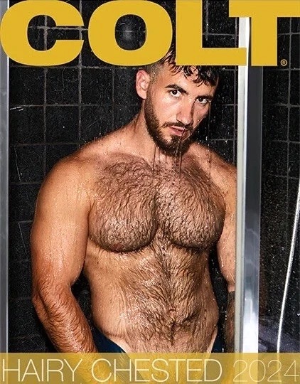 COLT STUDIOS | HAIRY CHESTED 2024 CALENDAR
