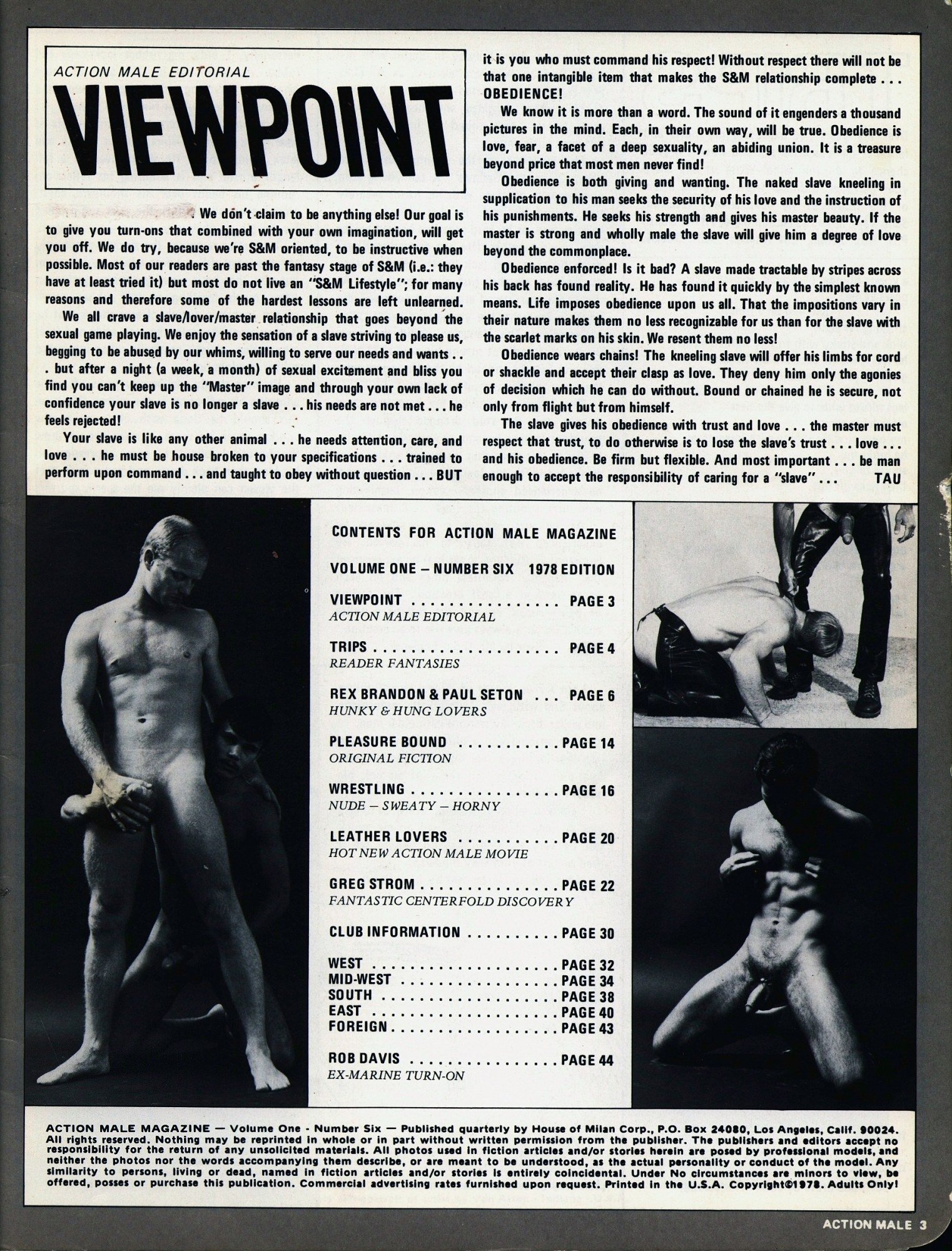 Action Male! · Vol. 1 No. 6 / 1978 - Image 3