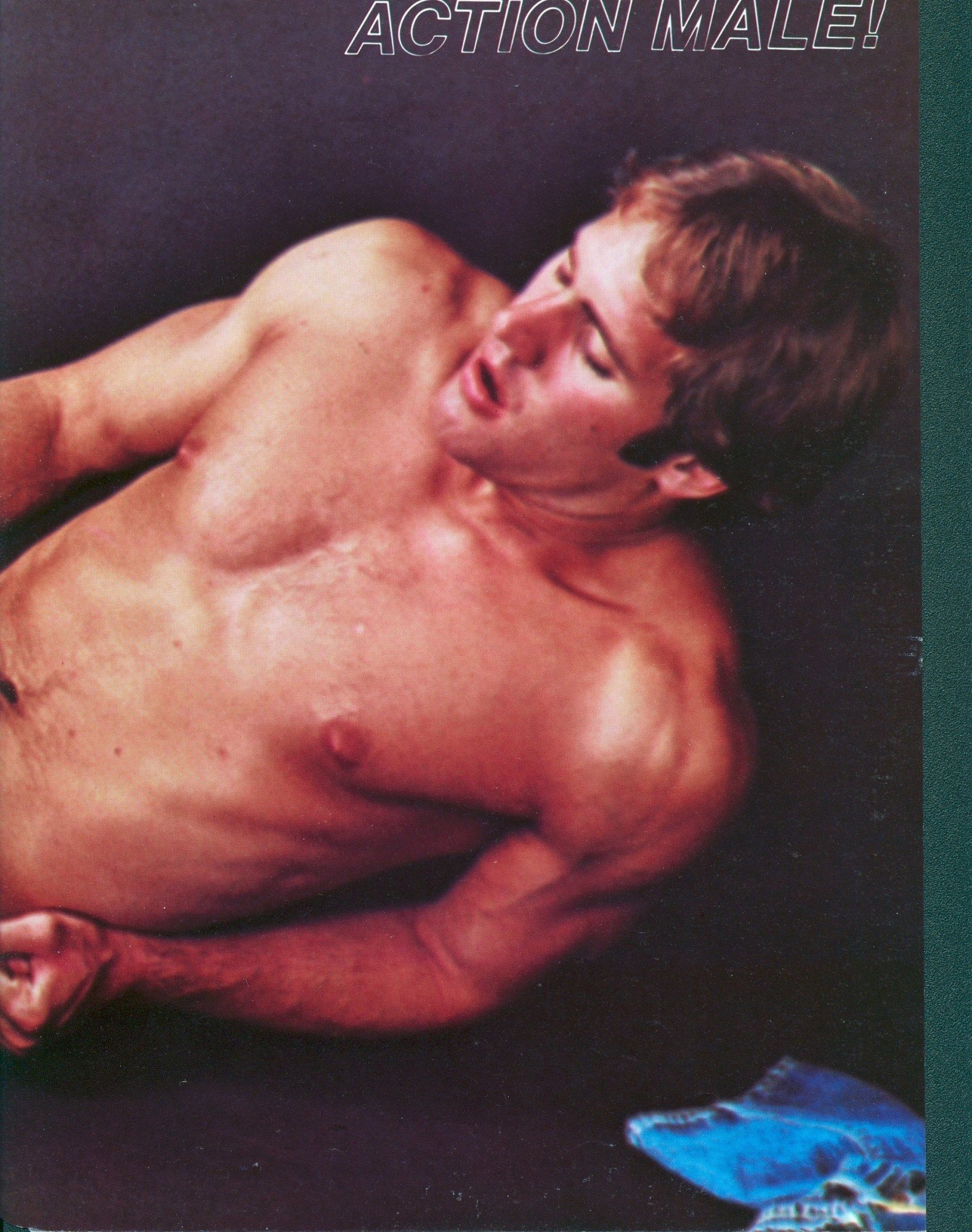 Action Male! · Vol. 1 No. 6 / 1978 - Image 7