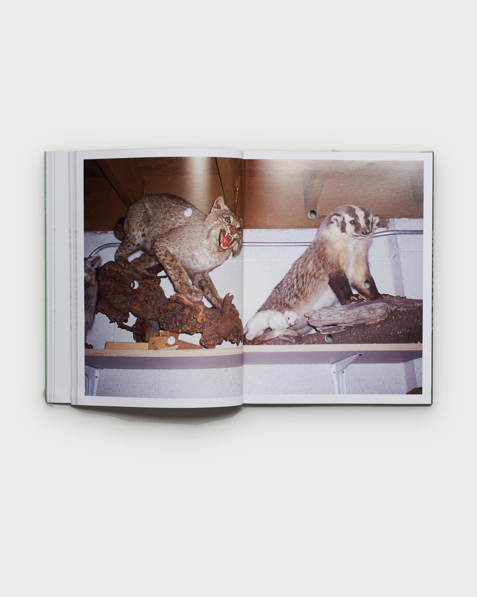 Death Book II by Bruce LaBruce