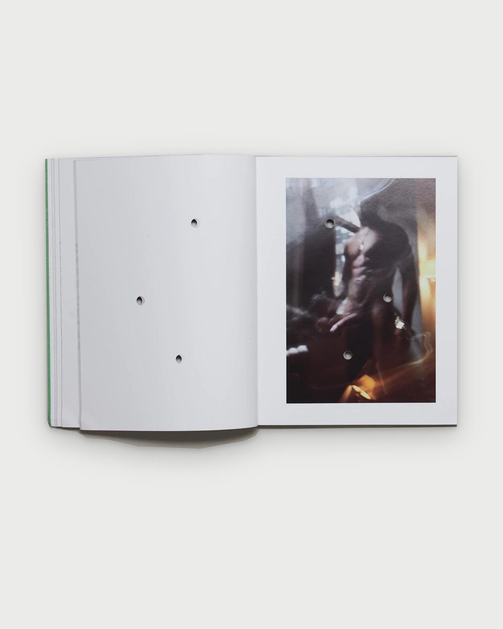 Death Book II by Bruce LaBruce