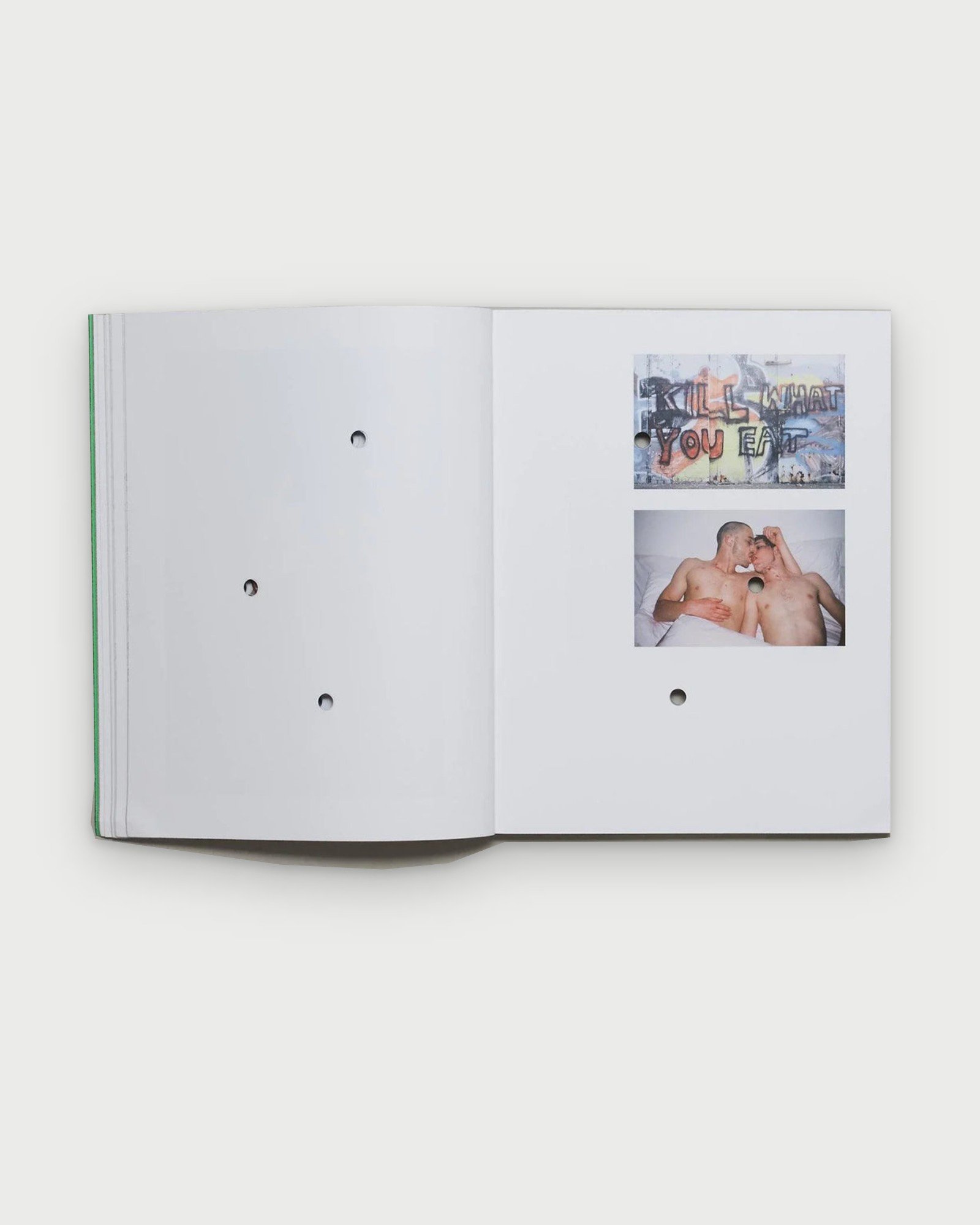 Death Book II by Bruce LaBruce