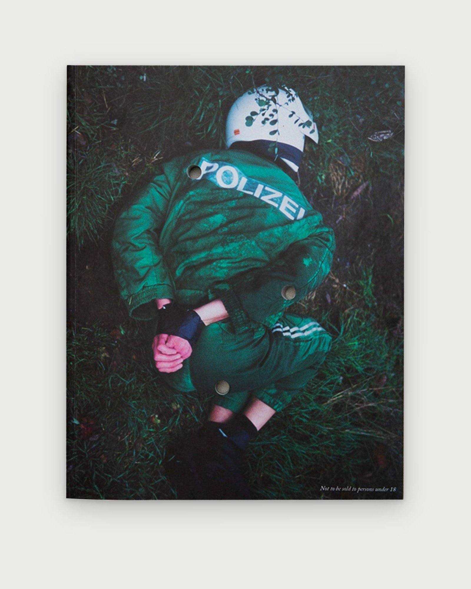 Death Book II by Bruce LaBruce
